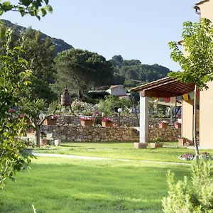 Aiali Marina di Campo